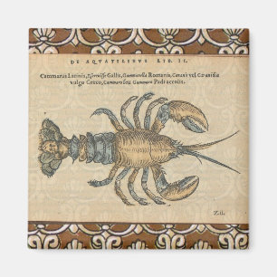 Imán Ilustracion de langosta Antique Maine