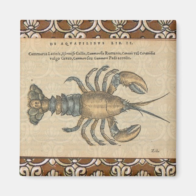 Imán Ilustracion de langosta Antique Maine (Frente)