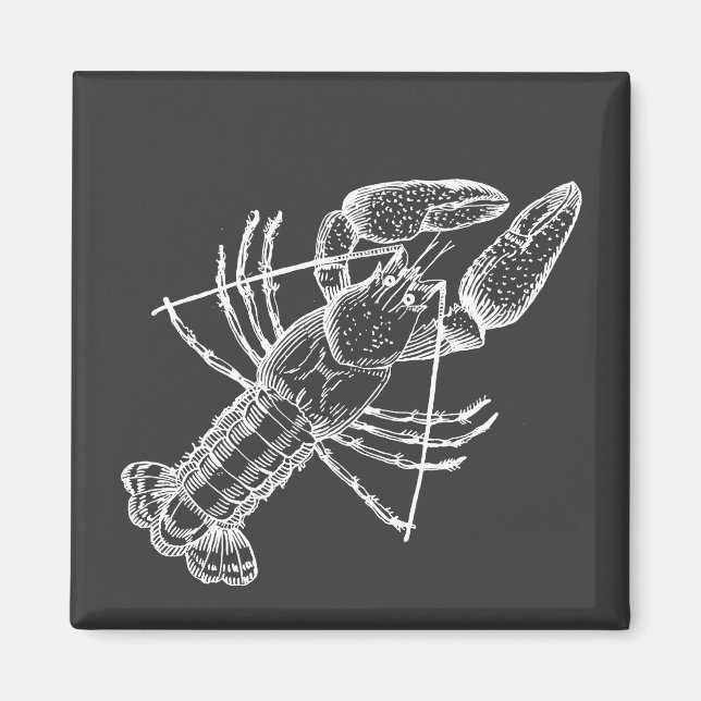 Imán Ilustracion de langosta blanco sobre negro (Frente)