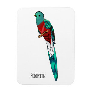 Imán Ilustracion de personalizado de aves quetzales res