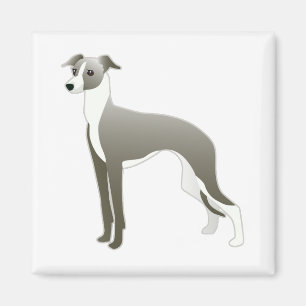 Imán Ilustracion de Raza de Perro de Greyhound italiano