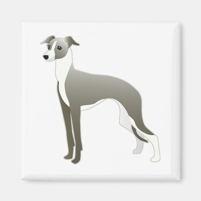 Imán Ilustracion de Raza de Perro de Greyhound italiano (Frente)