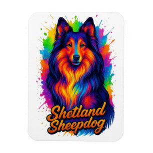 Imán Ilustración de Shetland Sheepdog en Pop Art Colori