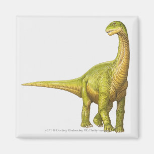 Imán Ilustracion de un Camarasaurus