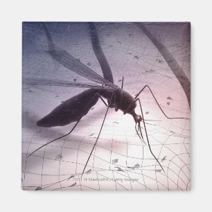 Imán Ilustracion de una picadura de mosquito