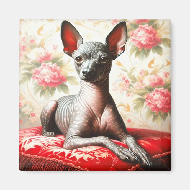 Imán Ilustracion de Xoloitzcuintle (Frente)