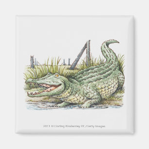 Imán Ilustracion del cocodrilo en la orilla