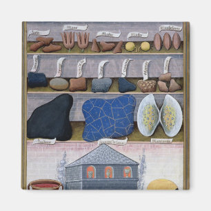 Imán Ilustracion del "libro de las medicinas simples" 2