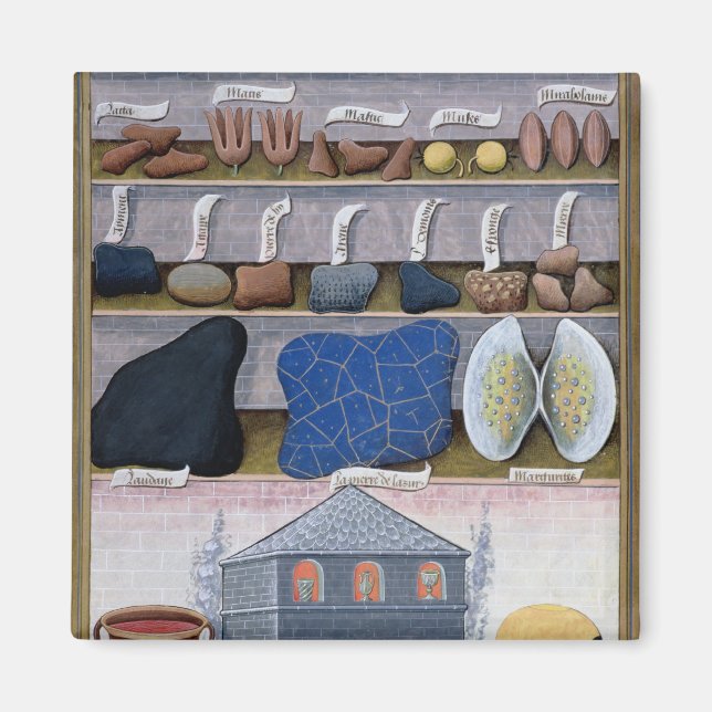 Imán Ilustracion del "Libro de Medicinas Simples" 2 (Frente)