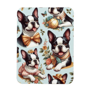 Imán Ilustracion del Terrier de Boston