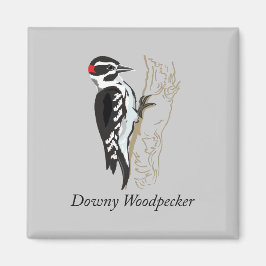 Imán Ilustracion Downy Woodpecker