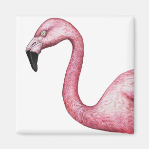 Imán Ilustracion Flamingo Rosa Brillante