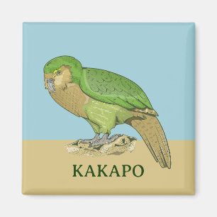 Imán Ilustracion Kakapo