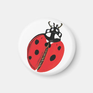 Imán Ilustracion Lady Bug