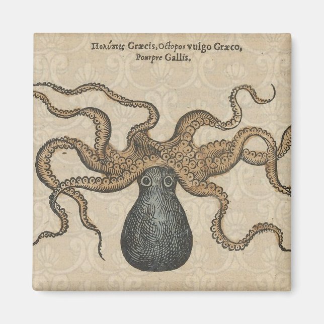 Imán Ilustracion Octopus Kraken Vintage (Frente)
