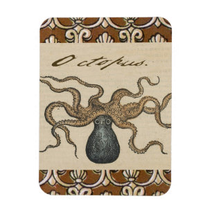Imán Ilustracion Octopus Kraken Vintage