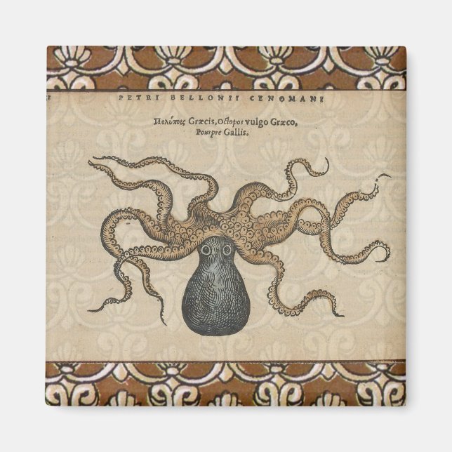 Imán Ilustracion Octopus Kraken Vintage (Frente)