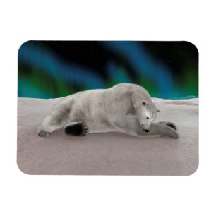 Imán Ilustración pacífica de oso polar ártico en la nat
