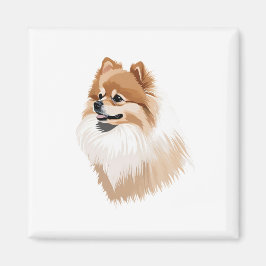 Imán ilustración perro pomerania