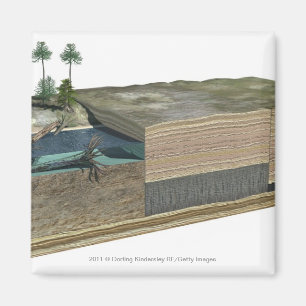 Imán Ilustracion que muestra la formación de carbón