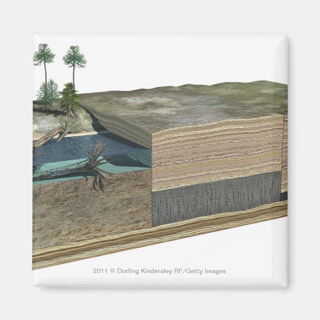 Imán Ilustracion que muestra la formación de carbón (Frente)