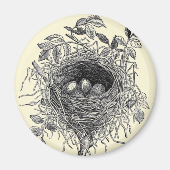 Imán Ilustracion Vintage Bird Nest (Frente)