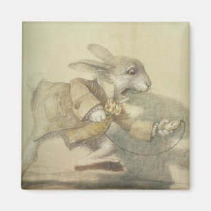 Imán Ilustracion Vintage de Conejo Blanco
