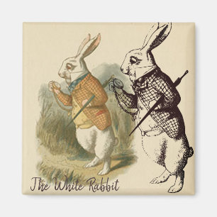 Imán Ilustracion Vintage de Conejo Blanco