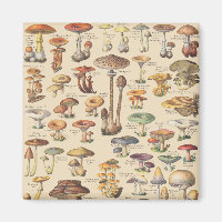 Ilustracion vintage de setas