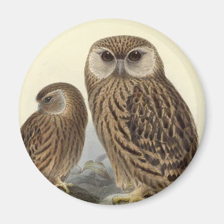 Imán Ilustracion Vintage Laughl Owl