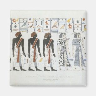 Imán Ilustraciones de hieroglyphics de las tumbas de t