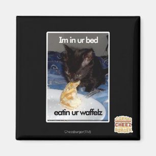 Imán Im en cama del ur