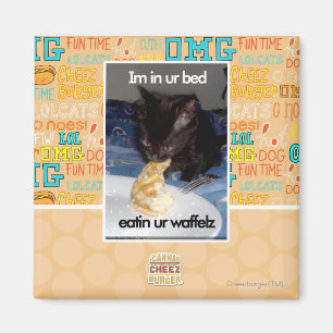 Imán Im en cama del ur