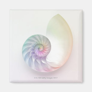 Imán Imagen coloreada artística del nautilus