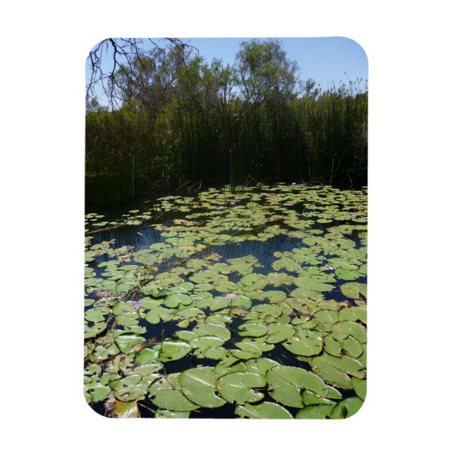 Imán Imagen de foto flexible de Lily Pads de salida (Vertical)