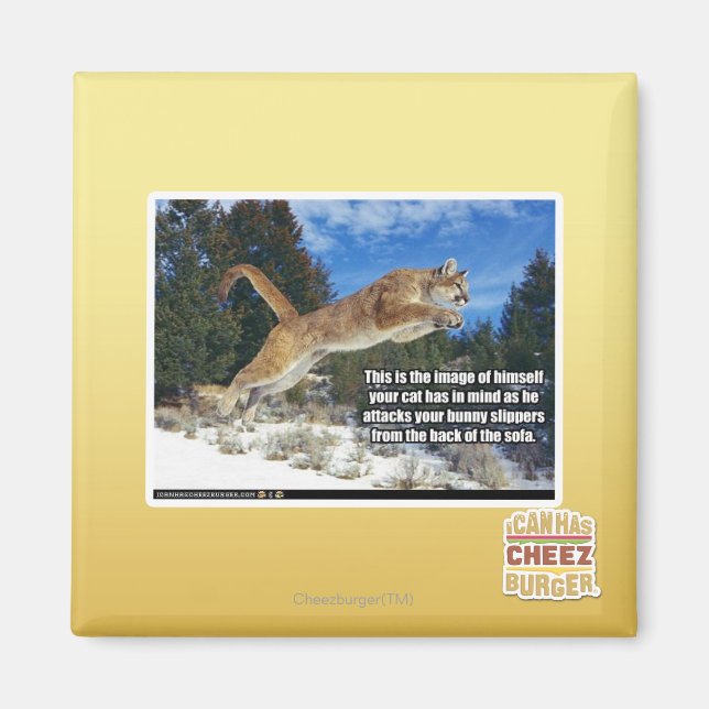 Imán Imagen de gato (Frente)