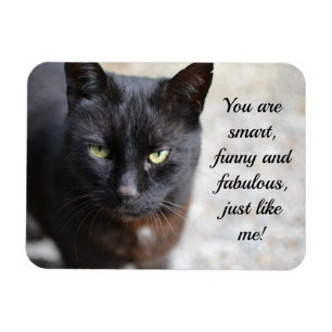 Imán Imagen de Gato Negro con cita motivadora