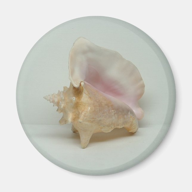 Imán IMAGEN DE LA CONCHE (redondo) (Frente)