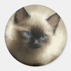 Imán Imagen De La Inocencia Retrato Siamés De Gatito