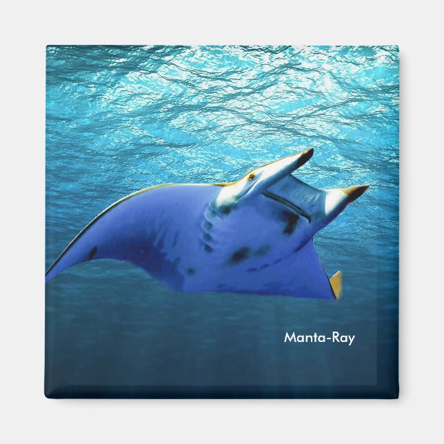 Imán Imagen de pescado para cuadrado-imán (Frente)