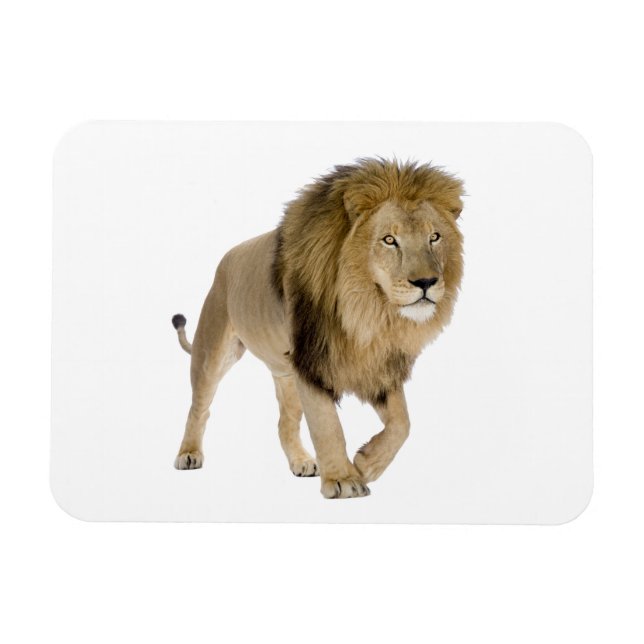 Imán Imagen de préstamo para Photo Magnet (Horizontal)