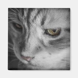 Imán Imagen en blanco y negro de gato