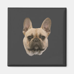 Imán Imagen linda de la cara de la foto del bulldog