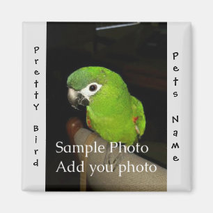 Imán Imagen Magnet personalizado