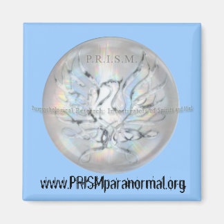 IMÁN IMAGEN PRISM