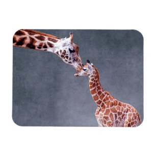 Imán Imágenes de Getty   Madre y bebé Giraffe