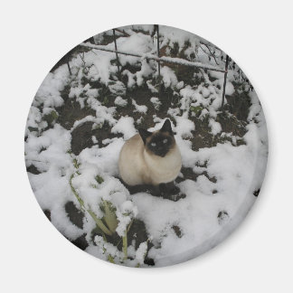 Imán Imágenes de nieve, gato de nieve