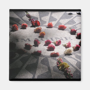 Imán Imagine Mosaic Central Park