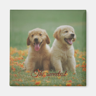 Imán Iman cuadrado de regalo