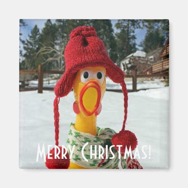 Imán ¡Imán de Navidad de pollo adorable! (Frente)